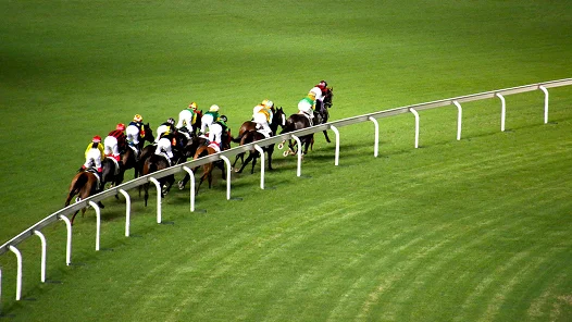 Un groupe de chevaux de course progresse sur une piste en herbe pendant une compétition. Les jockeys suivent la courbe de l’hippodrome dans une phase stratégique de la course.