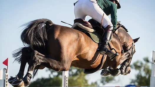 Un cavalier et son cheval franchissent un obstacle lors d’une épreuve de saut d’obstacles. Cette discipline met en avant la précision, la coordination et la puissance du cheval.